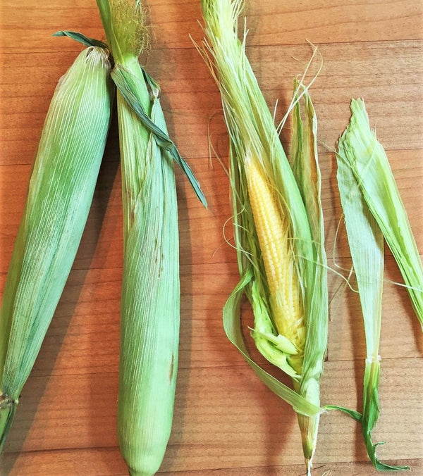 Baby Corn Seeds - For 2026 Planting Asian Miniature Sweet Chinese ...