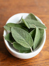 Broadleaf Sage