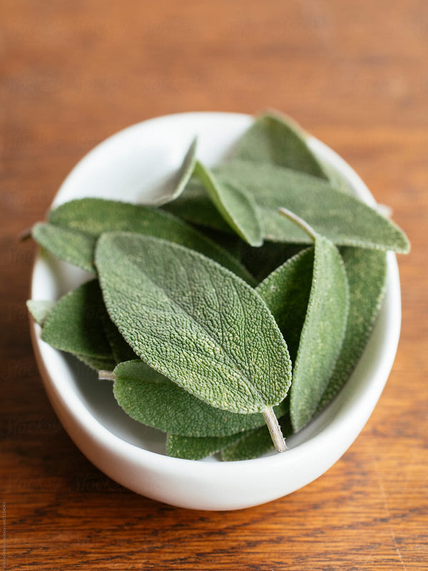 Broadleaf Sage
