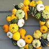 Bicolor Pear Ornamental Gourd