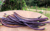5 Colors Mix Yard Long Bean