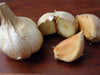 Elephant Garlic Cloves