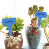 Blue T-Shaped Plant Labels