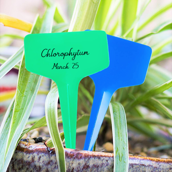 Green T-Shaped Plant Labels