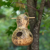 Birdhouse Bottle Gourd