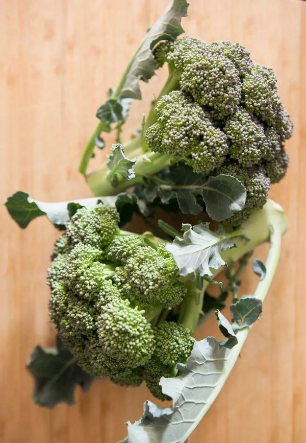 Green Sprouting Calabrese Broccoli