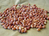 Iron and Clay Cowpea