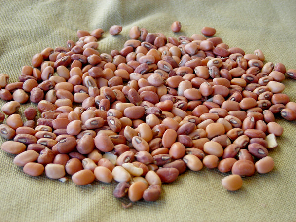 Iron and Clay Cowpea