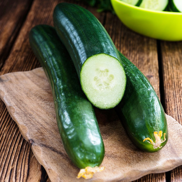 Tendergreen Burpless Cucumber Seeds, English Cucumbers or European  Seedless Hothouse Pickles Vegetable Seed For 2024 Season Fast Shipping