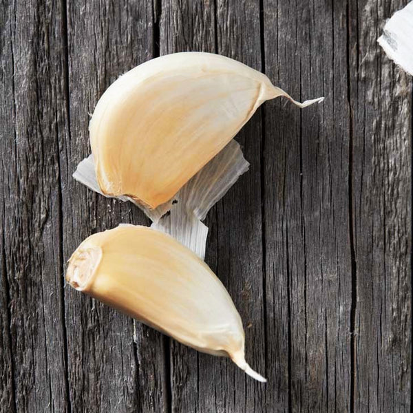 California Early White Softneck Garlic