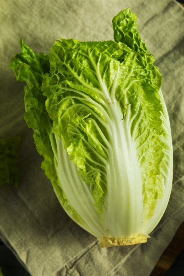 Yong Chinese Napa Cabbage