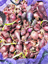 PRE-ORDER NOW! SHIPS OCT. 2023 - Karmen Red Onion Sets (Bulbs)
