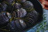 PRE-ORDER NOW! SHIPS MARCH 2024 - Blue Adirondack Seed Potatoes
