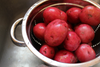 Red Pontiac Seed Potatoes
