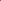 Purple Gleam California Poppy