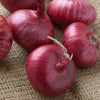 Ruby Red Onion