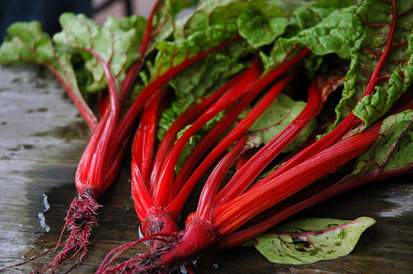 Organic Non-GMO Ruby/Rhubarb Red Chard