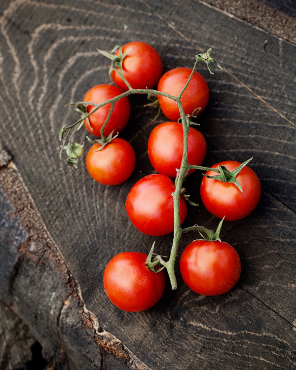 Large Red Cherry Tomato