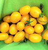 Yellow Plum Grape Tomato
