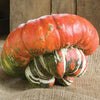 Turk's Turban Pumpkin