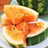 Tendersweet Orange Watermelon